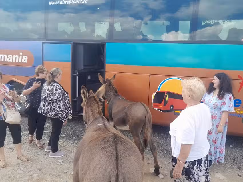 ALISEB TOURS AGENTIA ROMAN