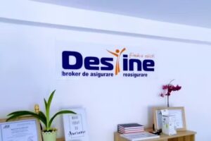 ASIGURARI – Tulgheș