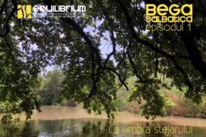 Canoe Remetea Mare | Bega Sălbatică | Equilibrium