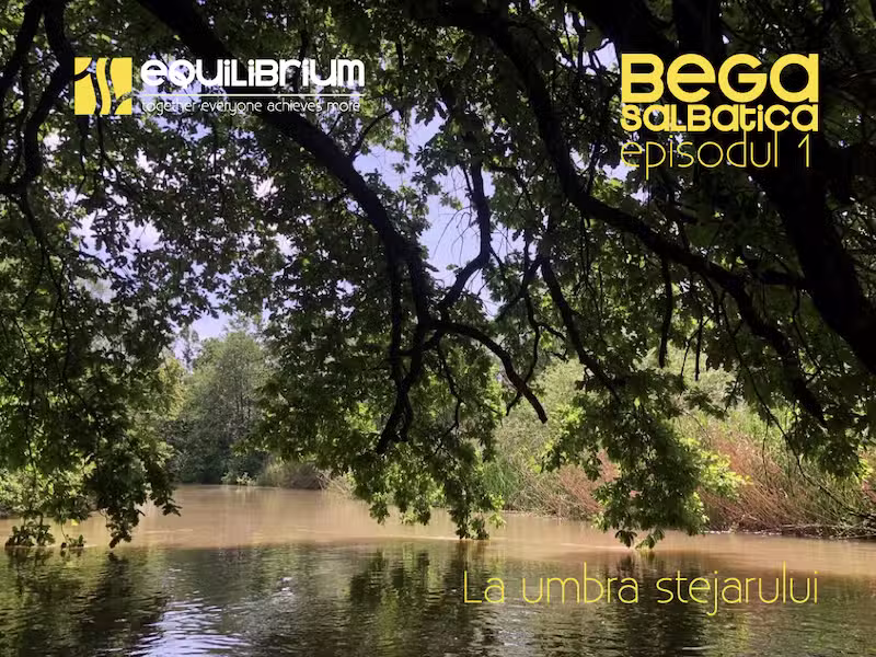 Canoe Remetea Mare | Bega Sălbatică | Equilibrium