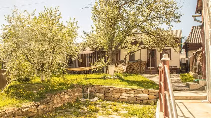 Casa Petri Rosia Montana