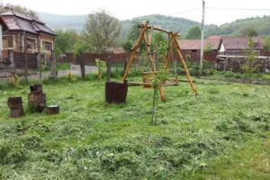 Cazare Alba Pensiunea Valisoara