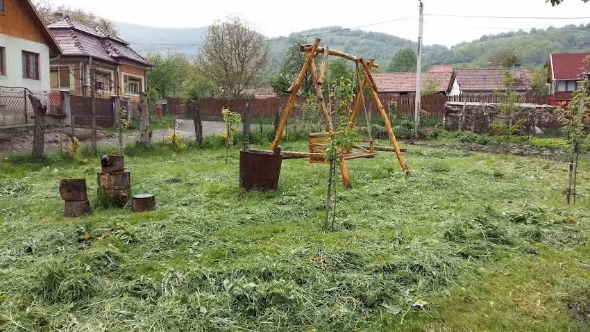 Cazare Alba Pensiunea Valisoara