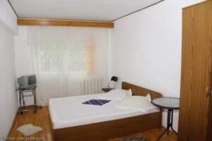 Cazare Baile Govora – Pensiunea Apartament Felix 3***