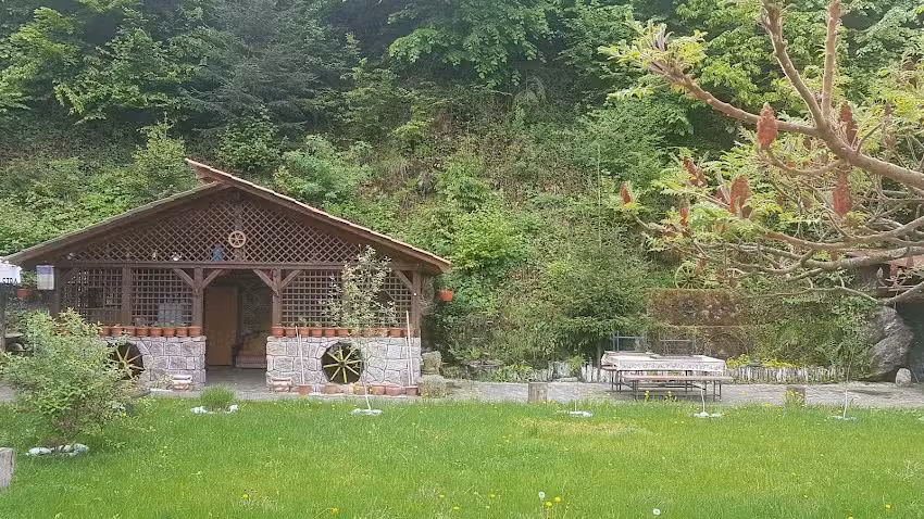 Cazare Moneasa Club Castel