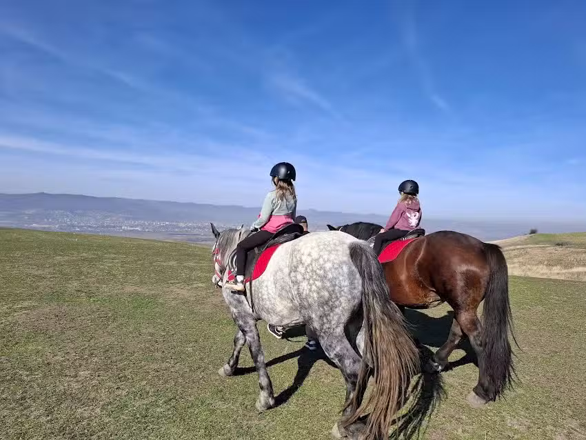 Centrul de Echitatie Colt de Rai Oarda de Sus &ndash; Calarie in Alba Iulia