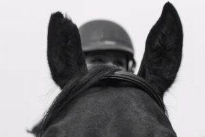 Centrul de echitatie &bdquo;HORSEMANIA&rdquo;