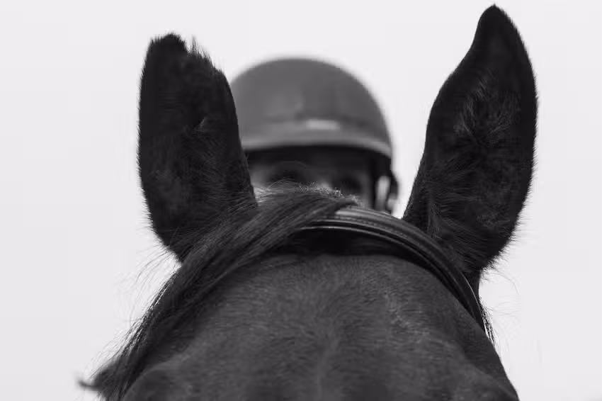 Centrul de echitatie &bdquo;HORSEMANIA&rdquo;