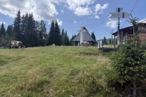 Centrul de Informare și Promovare Băișoara