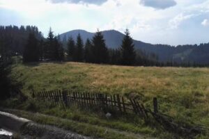 Centrul de Informare și Promovare Turistică