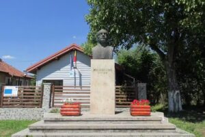 Centrul Local De Informare Si Promovare Turistica Densus