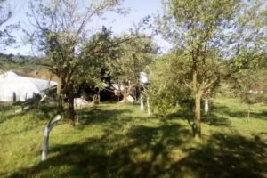 Centrul Național de Informare și Promovare Turistică