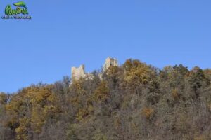 Centrul Național de Informare și Promovare Turistică T&acirc;rgu Neamț