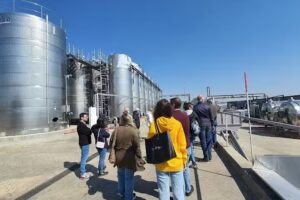 Christina Private Tours Romania