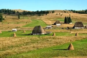 Clubul Montan Apuseni