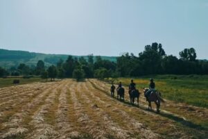 Dacic horses &ndash; Drumetii ecvestre