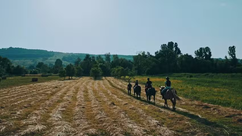 Dacic horses &ndash; Drumetii ecvestre