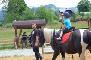 Domeniul Cailor Bucovina