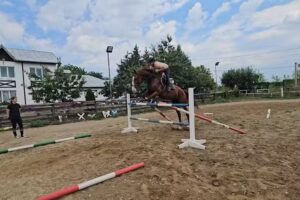 EquiPro Echitatie Ploiesti