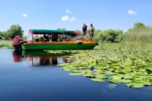 EXCURSII DE O ZI IN DELTA DUNARII