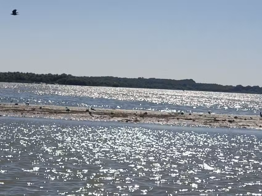 EXCURSII DELTĂ MAHMUDIA