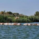 EXCURSII IN DELTA DUNARII