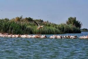 EXCURSII IN DELTA DUNARII