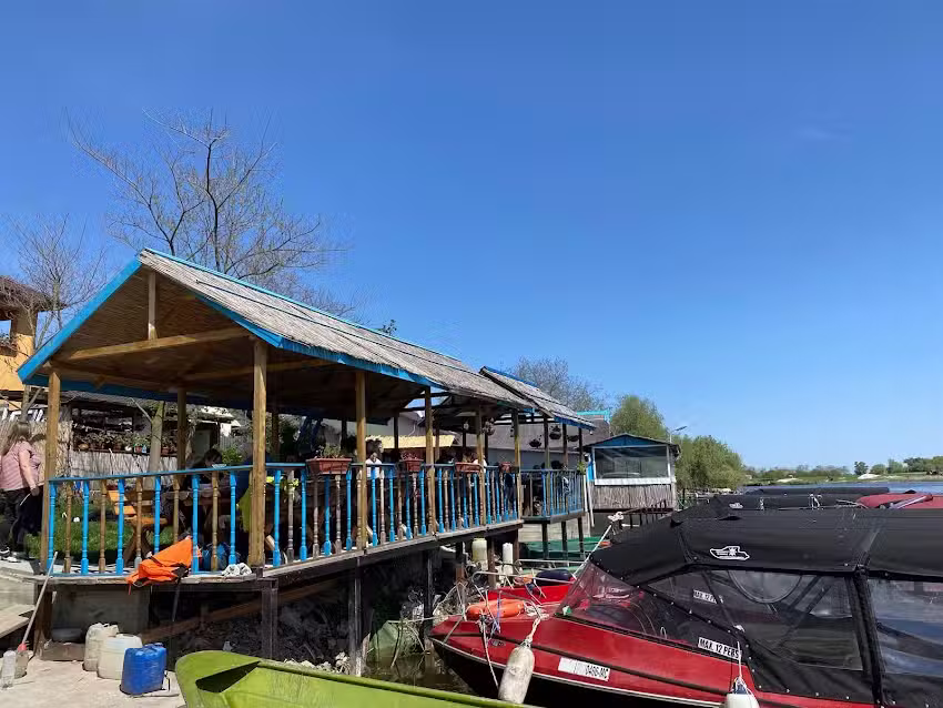 Excursii In Delta Dunarii | Oferte si Trasee 2026