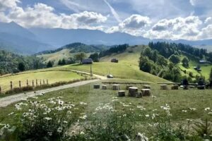 Excursii montane &icirc;n Bucegi