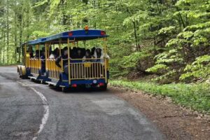 Infotour &ndash; Fabrica de experiențe