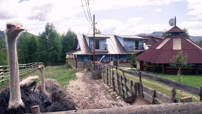 La Ferma Nagy &ndash; Campingplatz und Ferienwohnungen auf dem Bauernhof in Maramureș
