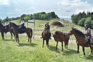 Lovast&aacute;bor, lovas t&uacute;r&aacute;k, lovas programok