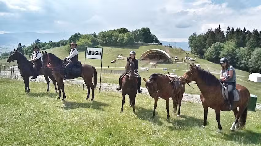 Lovast&aacute;bor, lovas t&uacute;r&aacute;k, lovas programok