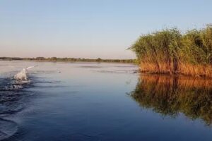 Mahmudia Delta Excursii in Delta Dunarii