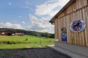 Manejul de cai islandezi Iv&oacute;