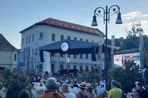 Micomis Travel & Tours