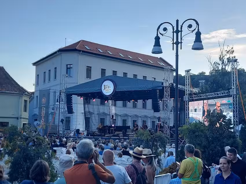 Micomis Travel & Tours