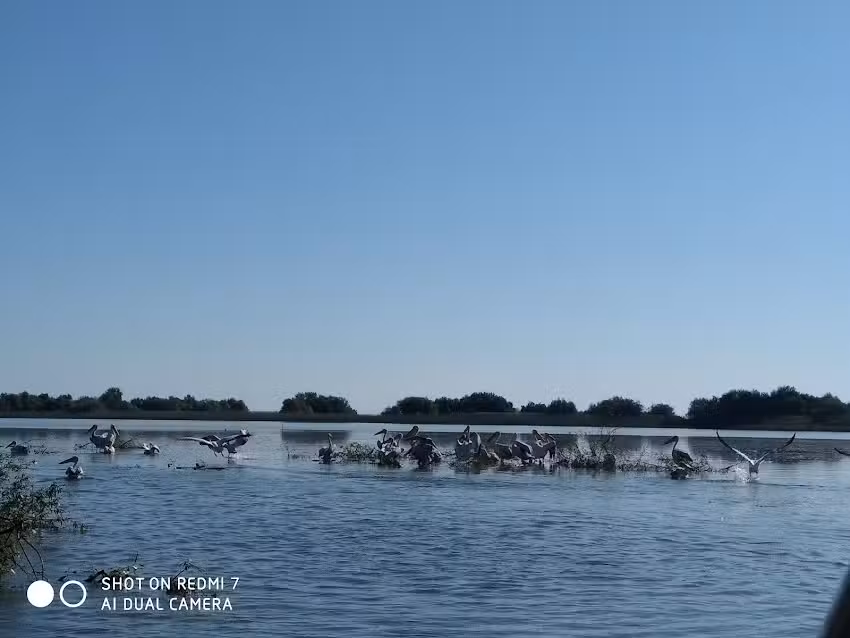 Plimbare cu barca mahmudia