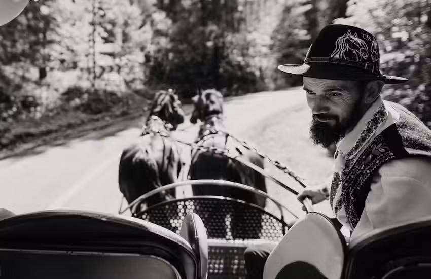 Plimbări cu Trăsura