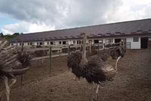 Punctul de Informare Turistică