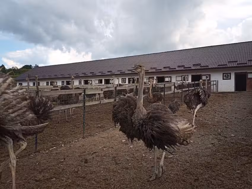 Punctul de Informare Turistică