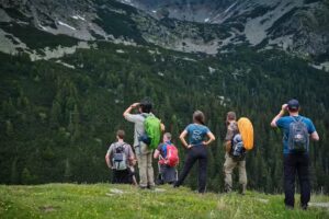 Rewilding Romania Travel Agency