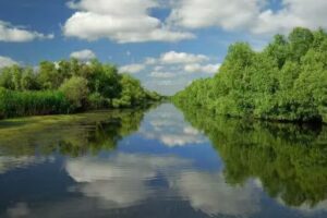 Romania&rsquo;s Friends