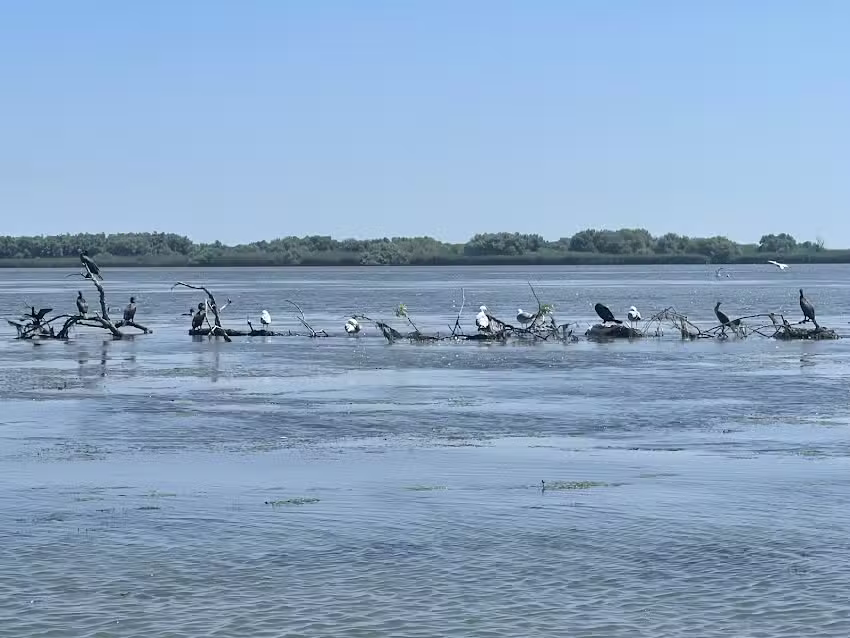 Seven Travel &ndash; Agenție de Turism Bacău 1