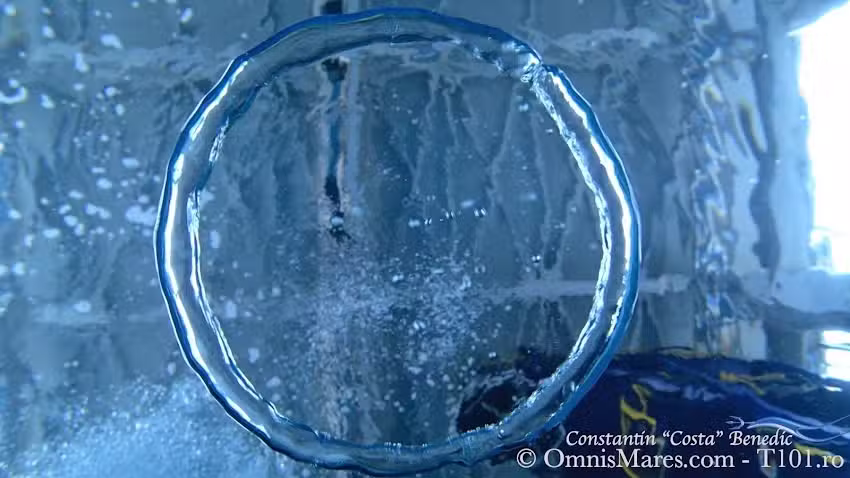 T101 &ndash; Technical & Diving Ops (OmnisMares SRL)