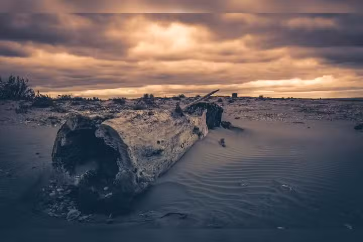 Transport Mahmudia-Murighiol-Sfantu Gheorghe