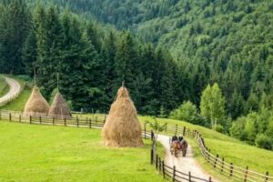 TravelMaker Tours (inside Hard Rock Shop)