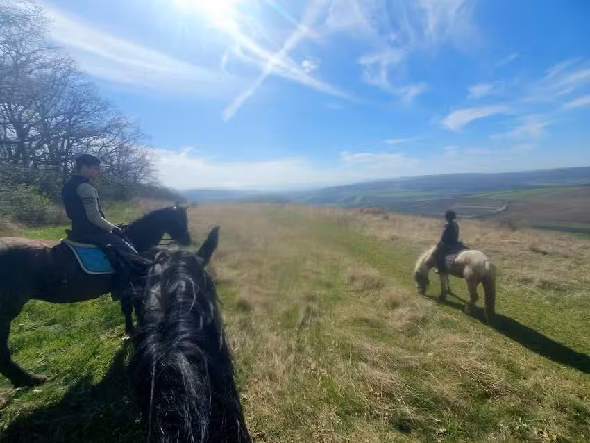 VAR&Aacute;ZSL&Oacute; lovask&ouml;zpont Mezőpanit , Maros megye