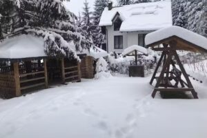 Vatra Dornei Info – Ghid Turistic